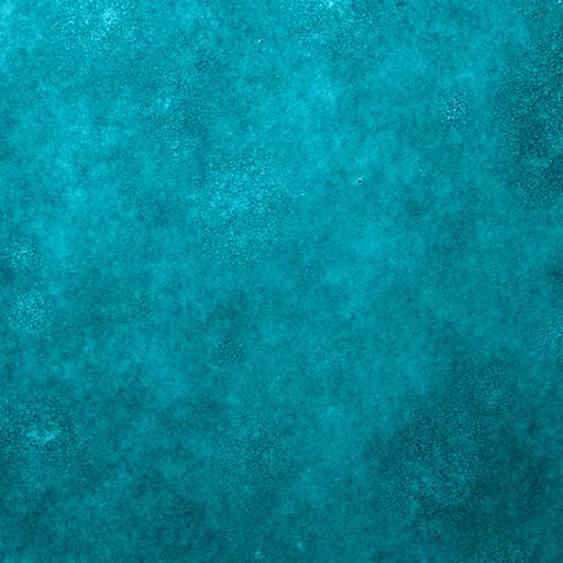 One quadrant cut from the cyan plate