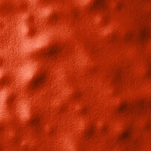 One quadrant cut from the vermilion plate